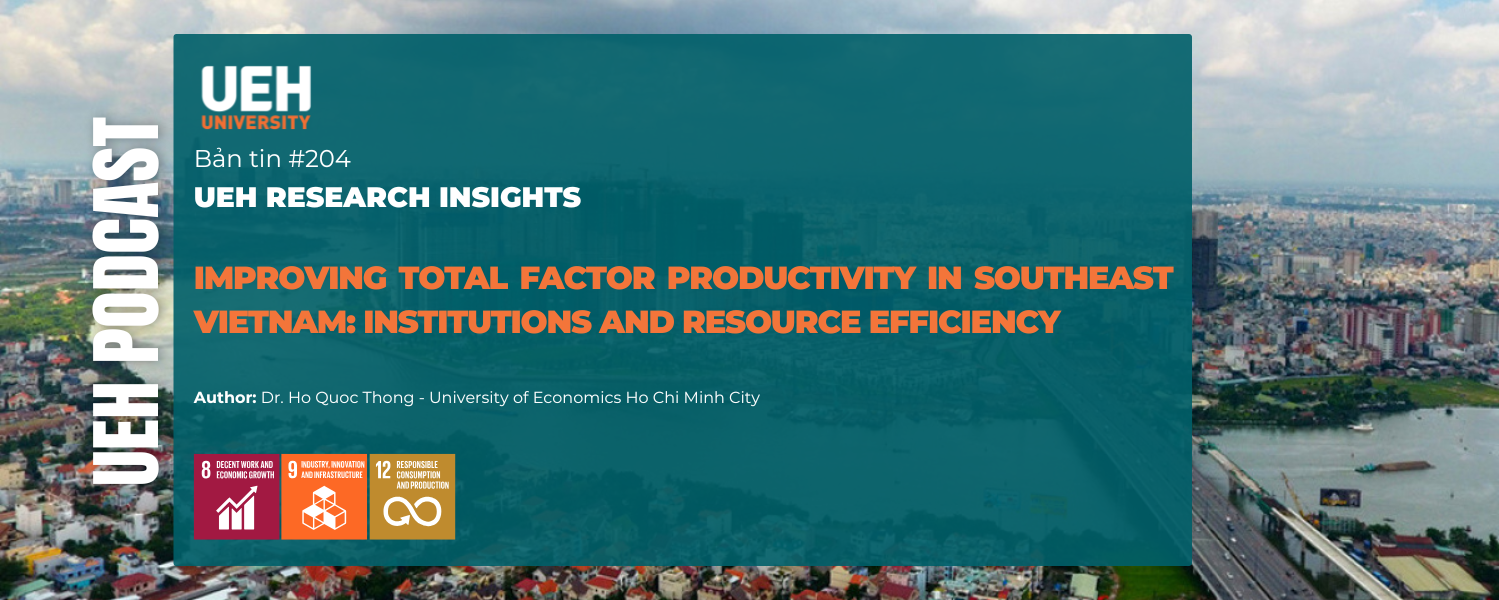 [Research Contribution] Improving Total Factor Productivity in Southeast Vietnam: Institutions and Resource Efficiency
