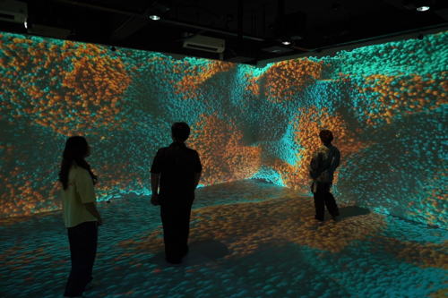UEH launches the Immersive Room, promoting a high-tech applied education model in the digital era